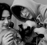 cat dads!